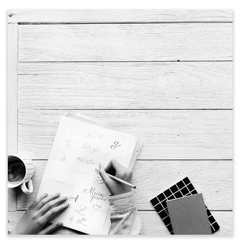 zan design Logo and Branding